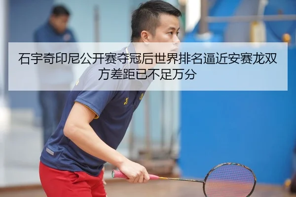 shi-yu-qi-yin-ni-gong-kai-sai-duo-guan-hou-shi-jie-pai-ming-bi-jin-an-sai-long-shuang-fang-cha-ju-yi-bu-zu-wan-fen-2-636.jpg