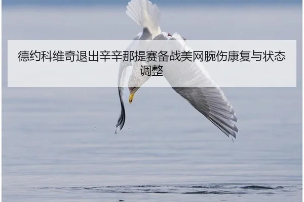 德约科维奇退出辛辛那提赛备战美网腕伤康复与状态调整